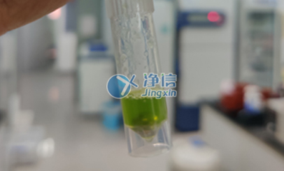 上海凈信冷凍研磨儀研磨番茄葉片實驗|浙江大學農(nóng)學院用于后續(xù)提RNA操作